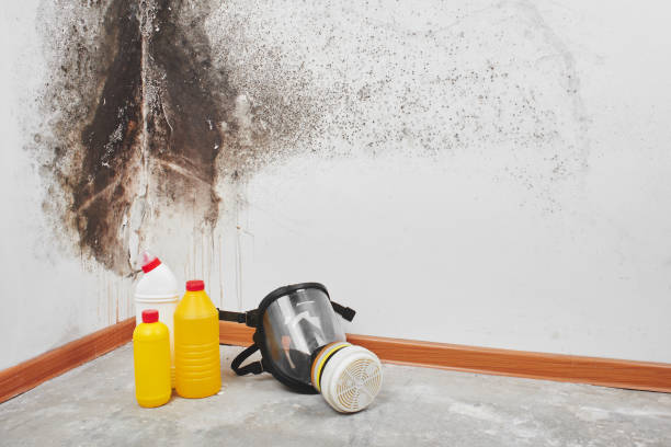 Best Mold Cleaning Services  in Kershaw, SC