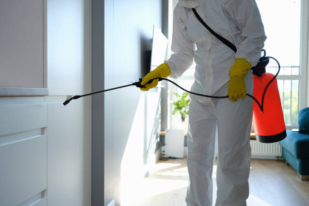 Best Mold Removal Specialists  in Kershaw, SC
