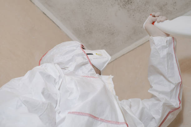 Best Toxic Mold Removal  in Kershaw, SC