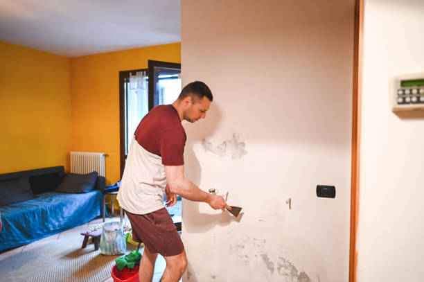 Best Office Mold Removal Services  in Kershaw, SC