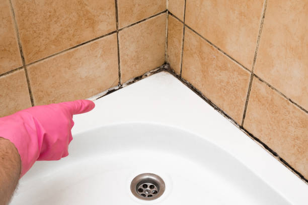 Best Crawl Space Mold Removal  in Kershaw, SC